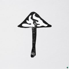 Dub-Kingdom-Art