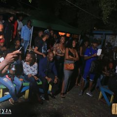 Reggaelutionpatron