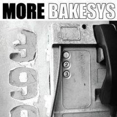 The Bakesys