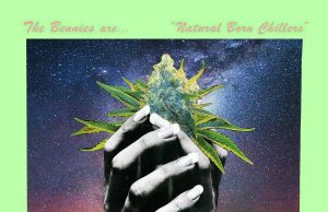 The Bennies “Natural Born Chillers” (Uncle M Music)