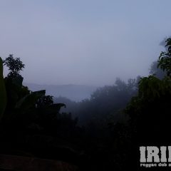 b8DSCF8463