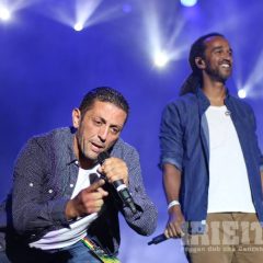 Dub Inc