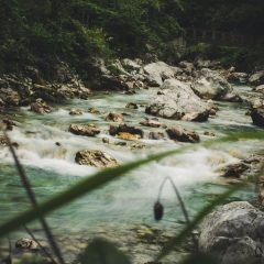 IMG_1143