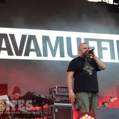 Vavamuffin