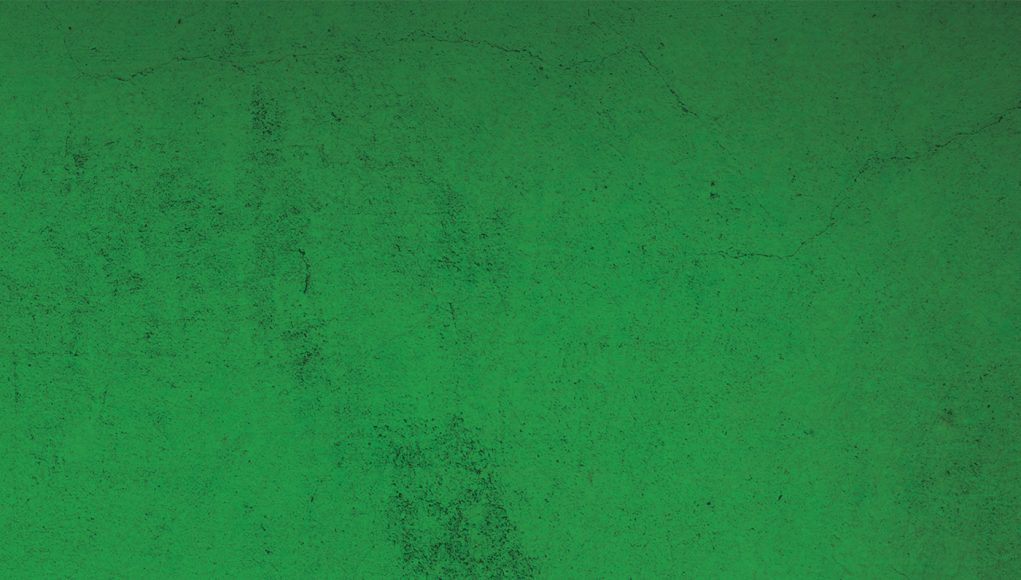 Unduster cover The Unduster grünes cover red album
