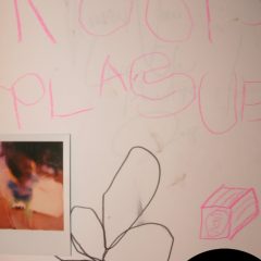 rootspluage