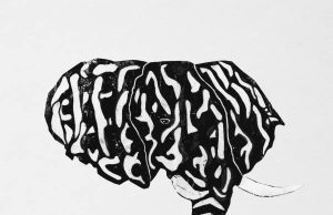 Alpha Steppa & Nai-Jah “The Great Elephant” (Steppas Records)