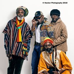 Black Roots France Tour Shot