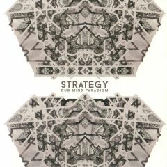 strategy cover