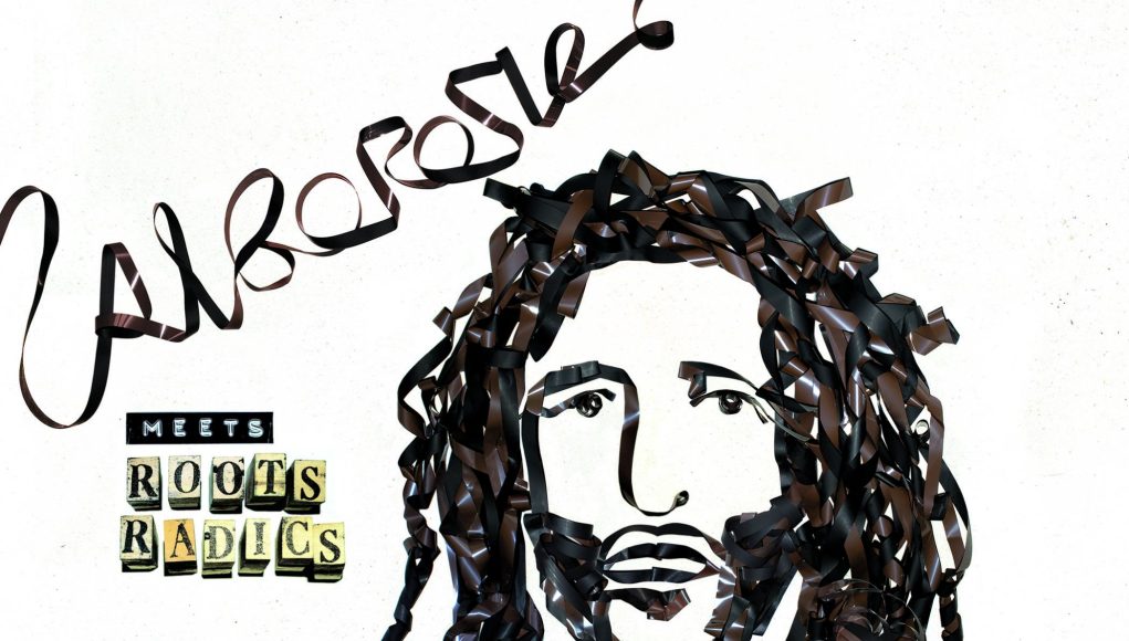 Alborosie Dub For Radicals Cover