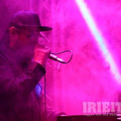 IMG_3573