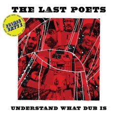 The Last Poets – Understand What Dub Is