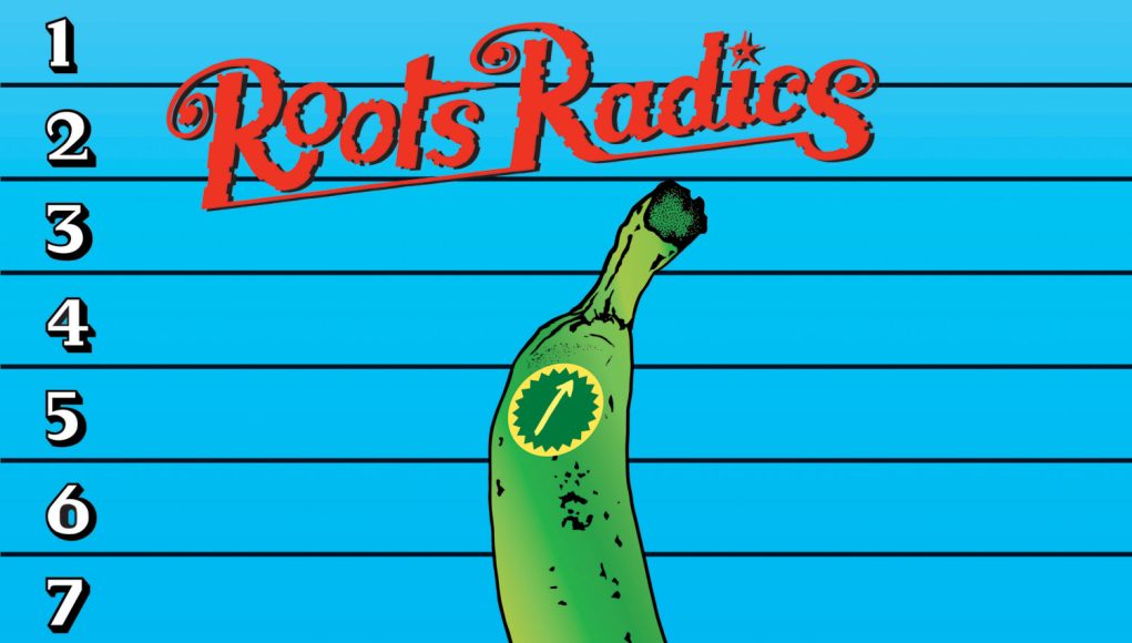 Roots Radics 12 Inches Of Dub roots radics 12 inches of pleasure cover