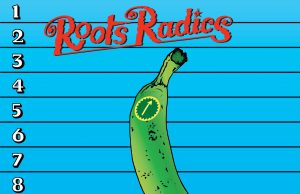 roots radics 12 inches of pleasure cover
