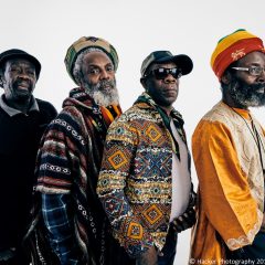 Black Roots 11