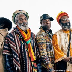Black Roots 12