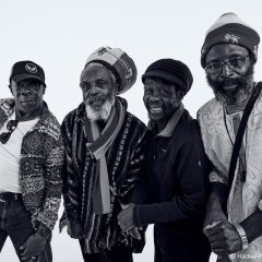 Black Roots 9