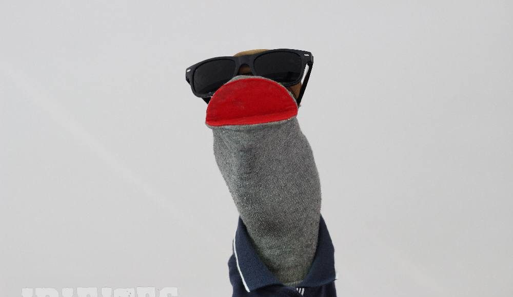 Pupa Sock (Foto - Karsten Frehe)