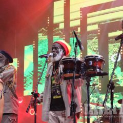 The Congos & Pura Vida