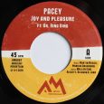 Pacey feat. Dr. Ring Ding “Joy And Pleasure” – 7 Inch (Ancient Mountain Records – 2019) Im vergangenen Jahr flatterte mir das Album “Knocking On Your Door” von Wallen Earl […]