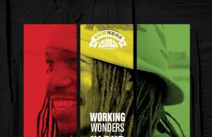 Mark Wonder „Working Wonders in Dub“ (Oneness Records)