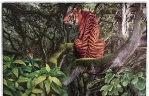 Miss Mitten’s 2020 Vision (Tripping The Light Fantastic)
