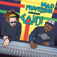 Mad-Professor-Meets-Gaudi