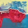 The Young Tree “Borderline” (Young Tree – 2019) Mit dem Album “Borderline” legt die italienische Band The Young Trees das zweite Album nach “Seed” vor. Produziert wurde es von Madaski […]