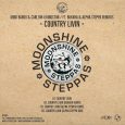 Modi Bardo & Carlton Livingston “Country Livin” feat. Bukkha & Alpha Steppa – 12 Inch (Moonshine Recordings/Steppas Records – 2020) Die Kooperation von Moonshine Recordings und Steppas Records liegt nahe, […]