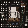 Soul Sugar “Excursions in Soul, Reggae, Funk & Dub” (Gee Recordings – 2021) „Soul Sugar“ heißt das Musikerkollektiv um Organist Guillaume („Booker Gee“) Metenier, dessen neues Album mir als Digipack-CD […]