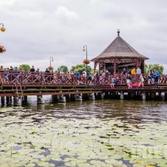 IMGP4953_2048