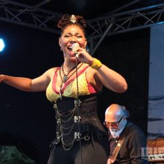 Steffani Seven