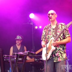 Fat Freddy’s Drop