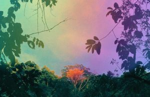 Kosmo Sound “Fruit Of The Void” (Zephyrus Records)
