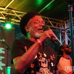 Horace Andy & Dub Asante Band feat. Matic Horns