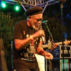 Horace Andy