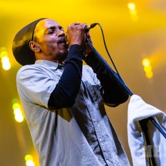 Dreadzone