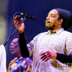 Dreadzone