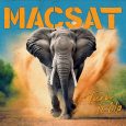 Macsat “Turn It Up” (Ring Of Fire Records – 2023) Ein Brett von einem Album! Mit ihrem 3. Album schlagen die Reggae-Dub-Ska-Punkrocker von Macsat konsequent ein weiteres Kapitel ihrer Reise […]
