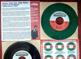 Winston Groovy feat. Luddy Pioneer “Reggae Fever” / “Dub Fever” (Aggrobeat Records)