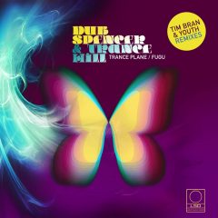 Dub Spencer & Trance Hill LSD Remixes