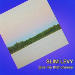 Slim Levy