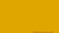 Yellow Umbrella “The Yellow Album”/”The Black Album” (Pork Pie – 2024) Anfang November ging ein erstauntes Raunen durch die deutsche Ska-Szene. Yellow Umbrella veröffentlichte ein Statement, in dem es u.a. […]