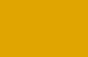 Yellow Umbrella “The Yellow Album”/”The Black Album” (Pork Pie)