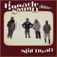 Pinnacle Sound “Still Dread” (BAT Records – 2024) Schon ein Blick auf das Coverartwork verrät, dass es bei dem neuen Album des Pinnacle Sounds wieder nostalgisch zugeht. Pinnacle Sound ist […]