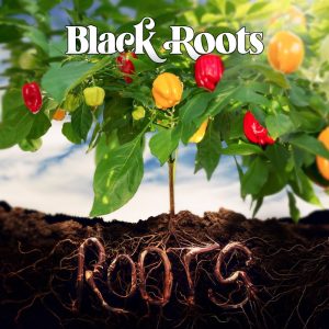 Black Roots “Roots” (Nubian Records – 2024) In diesem Jahr existiert die Band aus Bristol bereits 45 Jahre und präsentiert mit “Roots” ein neues Album, das gleich mit 18 Songs […]
