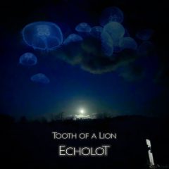 Tooth of a Lion – Echolot