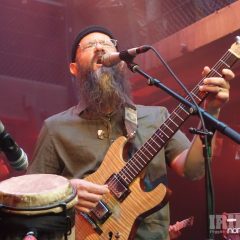 Harrison Stafford Groundation