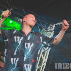 IMG_9185
