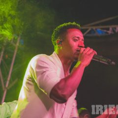 IMG_9331